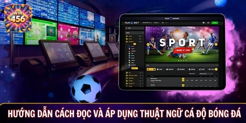 Hướng dẫn cách đọc và áp dụng thuật ngữ cá độ bóng đá