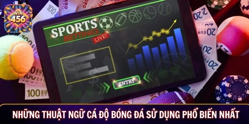 Những thuật ngữ cá độ bóng đá sử dụng phổ biến nhất